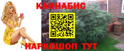 шишки Конаково