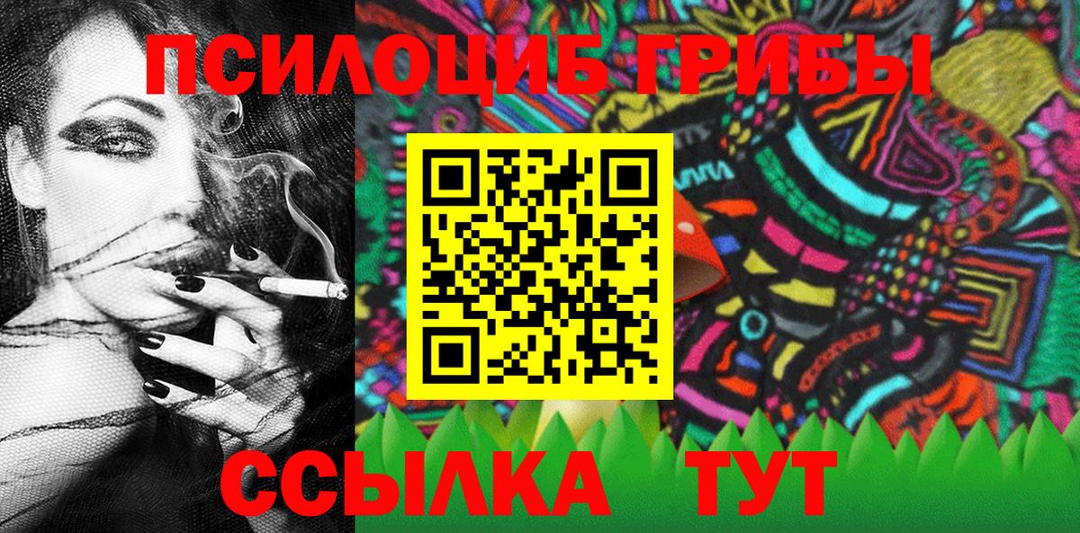 Галлюциногенные грибы Cubensis Красногорск